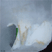 PRELUDE V - 30X30 - 2008