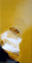 FLOTTEMENT I - 40X80 - 2007